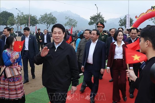 Chủ tịch nước dự lễ phát động Tết trồng cây năm 2026