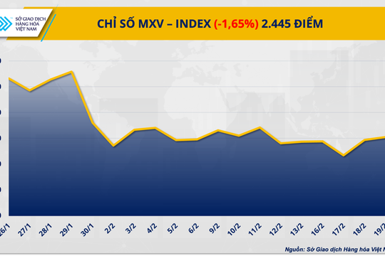 Giá dầu vượt mốc 70 USD/thùng, thị trường cà-phê 'dò đáy' nhiều tháng