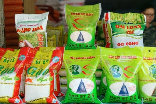 Việt Nam xuất khẩu gạo sang nước nào nhiều nhất?