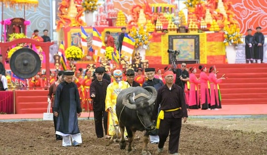 Bí thư Ninh Bình xuống đồng đi cày ở lễ hội Tịch điền 2026