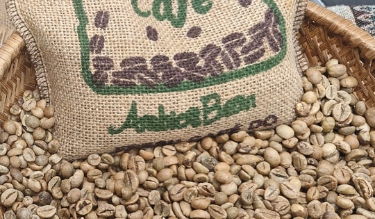 Giá cà phê hôm nay 23-2: Dự báo từ Tổ chức Cà phê quốc tế