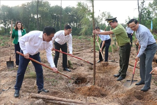 Tết trồng cây: Nâng cao ý thức bảo vệ rừng, gìn giữ tài nguyên thiên nhiên
