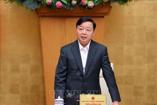 Rà soát, đánh giá toàn diện việc thực hiện các nhiệm vụ chống khai thác IUU