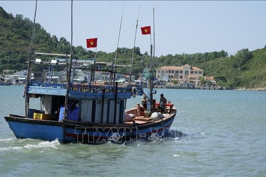 Quyết tâm gỡ cảnh báo 'thẻ vàng' IUU