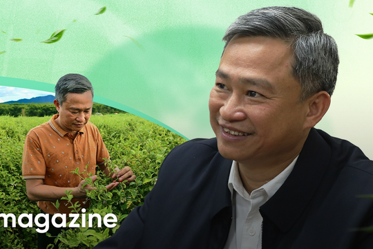 Giám đốc kể “cú sốc kinh tế” khi rời vị trí lãnh đạo trong cơ quan nhà nước