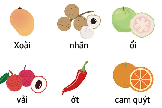 Du khách bị cấm mang gì khi nhập cảnh Nhật Bản?