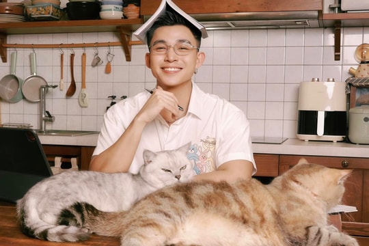 Jun Phạm sống bên mèo cưng trong căn hộ 75 m2