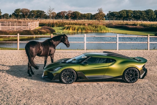 Những mẫu xe lấy cảm hứng từ loài ngựa