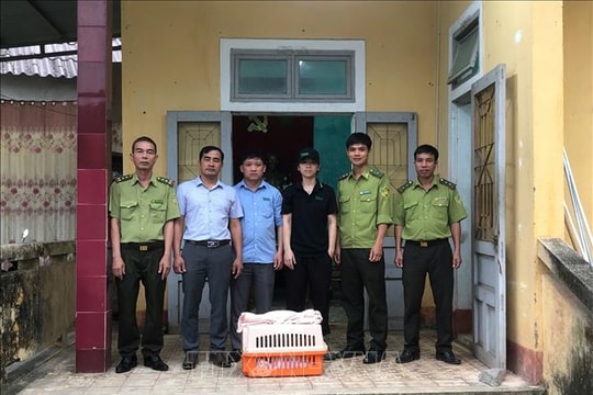 Quảng Trị bàn giao cá thể rái cá quý hiếm cho Vườn quốc gia Cúc Phương