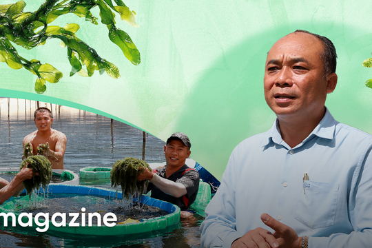 Ngã rẽ liều lĩnh và hành trình triệu USD của loại trứng mọc từ cây