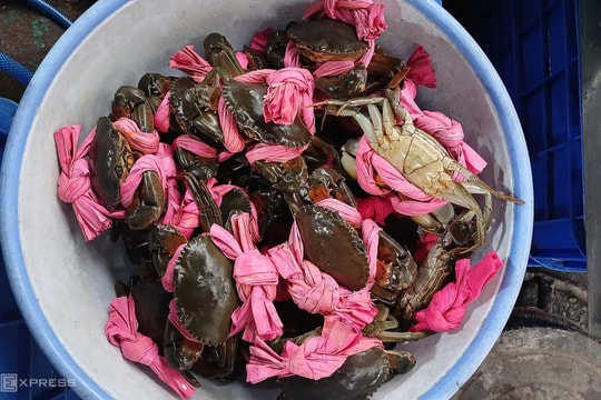 Cá lóc, tôm cua tăng đến 50% ngày vía Thần Tài