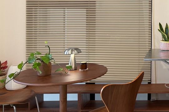 5 loại cây giúp hút ẩm và giảm mùi trong nhà mùa nồm