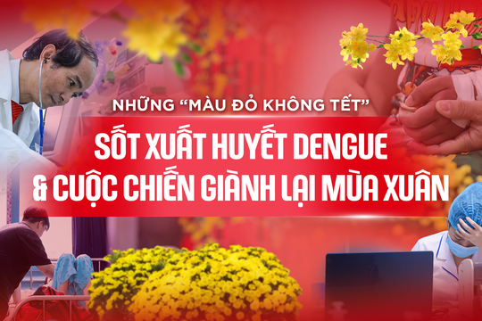 Những 'màu đỏ không Tết' do Sốt xuất huyết Dengue và cuộc chiến giành lại mùa xuân