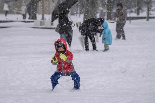 Số trẻ sơ sinh Nhật Bản giảm năm thứ 10 liên tiếp