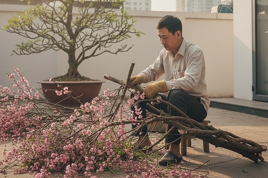 'Tiếc đứt ruột' vì đào rừng 12 triệu trưng Tết chưa được hai tuần
