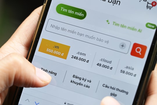 Việt Nam lần đầu đấu giá tên miền '.vn'