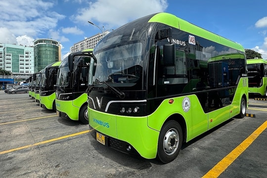 9 tuyến buýt ở TP HCM chuyển sang xe điện từ 1/3