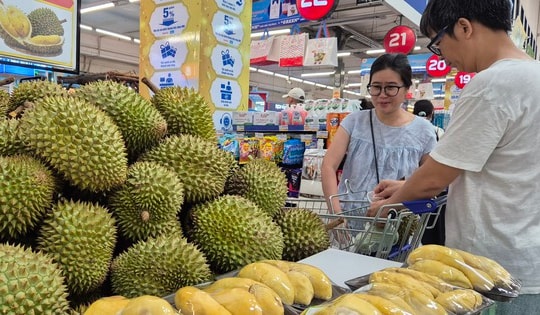 Giá sầu riêng ngược dòng nhiều loại nông sản