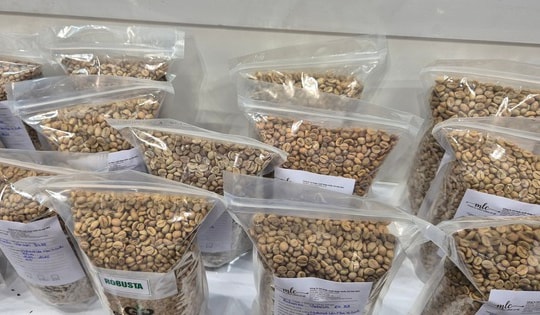 Giá cà phê hôm nay 27-2: Đi lùi, thị trường sắp cân bằng?