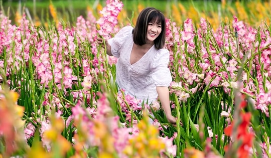 Vườn hoa lay-ơn nở muộn bất ngờ trở nên rất hot ở Đà Lạt