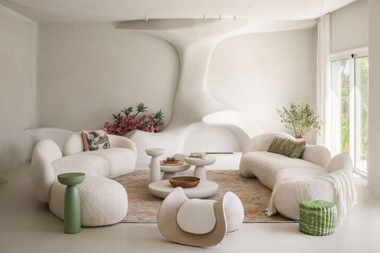 Biệt thự 500 m2 với 90% là đường cong mềm mại