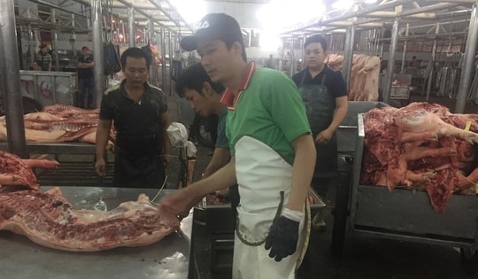 Giá heo hơi hôm nay, 28-2: Diễn biến mới tại chợ đầu mối