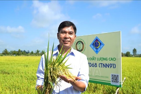 Nông dân đón nhận giống lúa mới với nhiều ưu điểm vượt trội