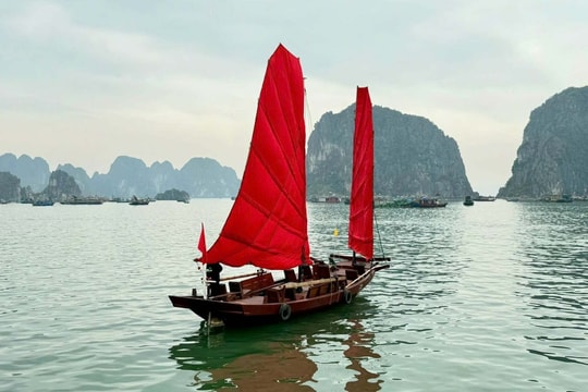 Người hồi sinh những cánh buồm trên vịnh Hạ Long
