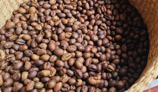 Giá cà phê hôm nay 1-3: Giữ giá tốt, là nhà cung cấp số 2 cho Hàn Quốc
