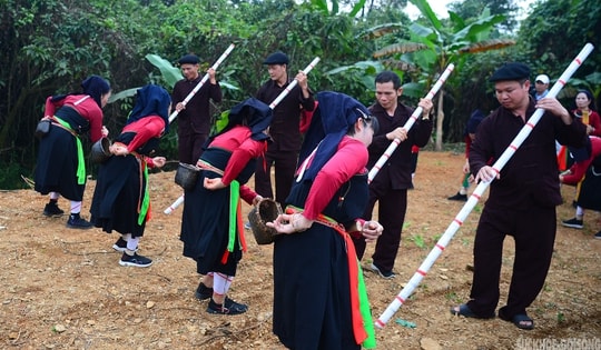 Gieo hạt mùa xuân giữa lòng Hà Nội