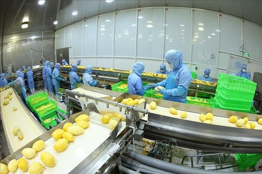 Khuyến cáo với các doanh nghiệp hợp tác kinh doanh tại Trung Đông