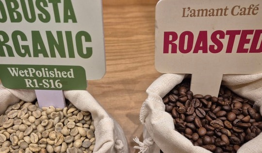 Giá cà phê hôm nay 2-3: Vua xuất khẩu cà phê lý giải diễn biến lạ