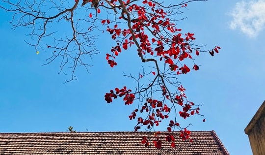 Hình ảnh Côn Đảo vào "mùa đẹp nhất năm"