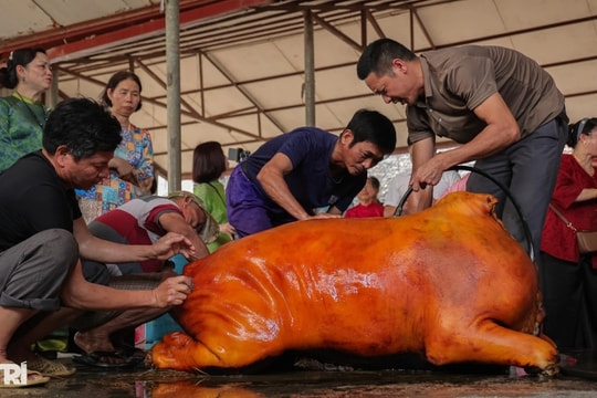 Về Ước Lễ nhuyễn tay giã giò, thui bê trăm cân ăn “Tết lại”