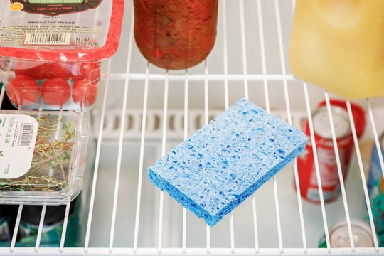 Vì sao nên đặt miếng bọt biển trong tủ lạnh?