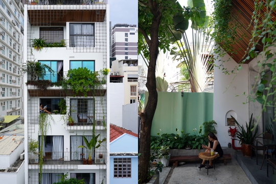 Nhà phố phủ lớp 'rèm cây' thích ứng khí hậu biển