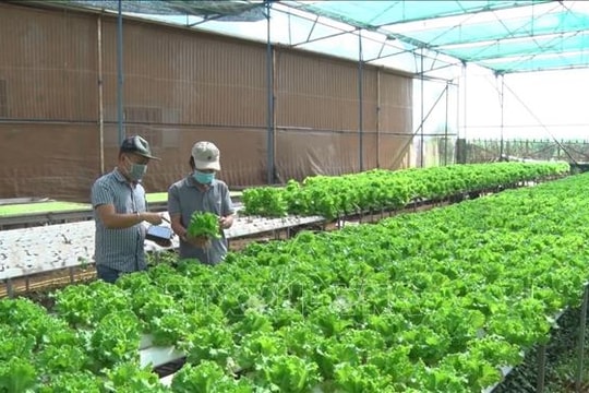 Quy định về thủ tục thi hành quyết định tuyên bố doanh nghiệp, HTX phá sản