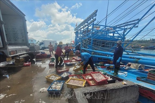 Gỡ 'thẻ vàng' IUU: TP. Hồ Chí Minh thuê thiết bị giám sát tàu cá chưa đủ điều kiện