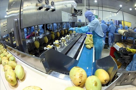 Xung đột tại Trung Đông: Sớm đánh giá tác động để Việt Nam có giải pháp ứng phó kịp thời