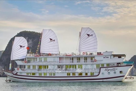 Siết chặt an toàn sau sự cố cháy tàu du lịch trên vịnh Hạ Long