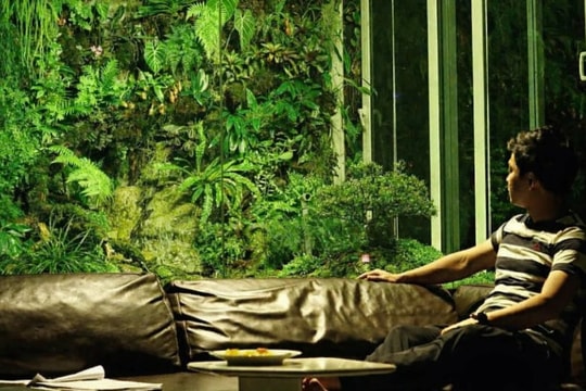 Người chế những khu rừng nguyên sinh tiền tỷ trong thành phố