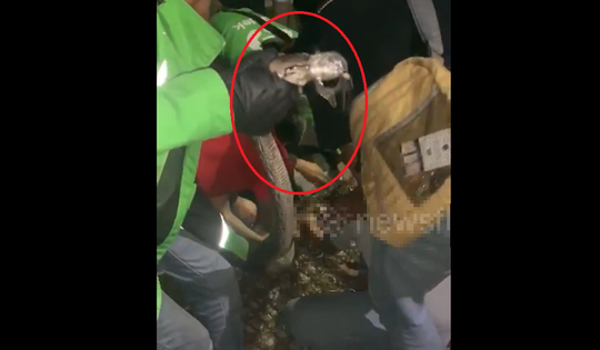 Đang nằm, người đàn ông sốc nặng khi phát hiện cảnh tượng "nổi da gà"