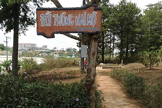 'Đồi thông hai mộ' có mấy ngôi mộ?