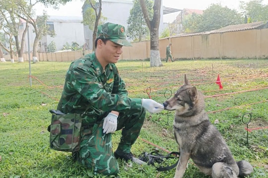 Một năm học thành 'chiến binh' của chú chó lài sông Mã