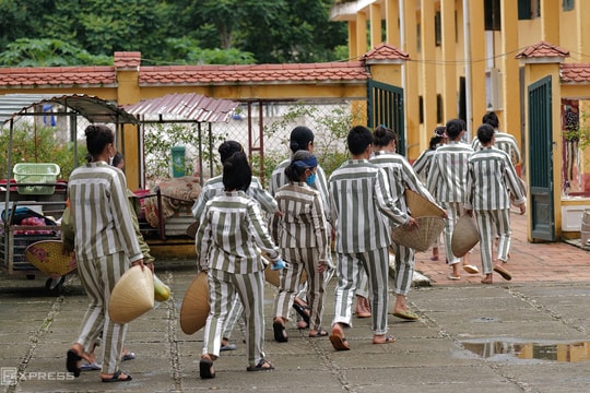 Đề xuất cho phạm nhân video call miễn phí, thăm người nhà online