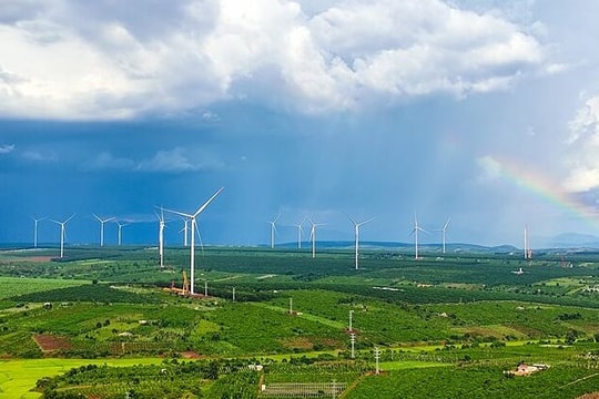 Thành viên Vingroup làm nhà máy điện gió gần 4.700 tỷ đồng tại Gia Lai