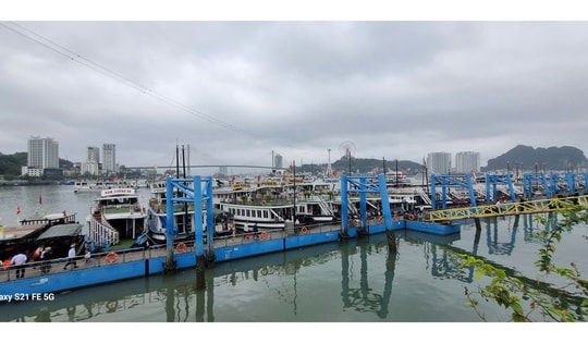 Sau sự cố cháy tàu, Quảng Ninh yêu cầu rà soát toàn bộ điều kiện an toàn tàu du lịch