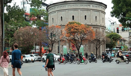 Tháng Ba, ngắm Hà Nội mùa cây thay lá