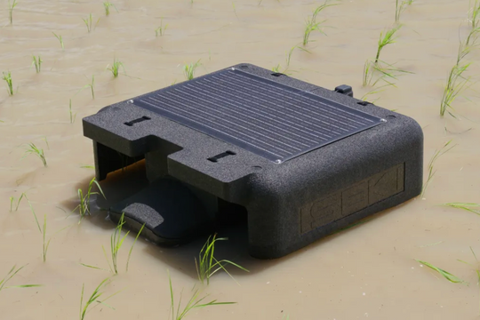 Nghiên cứu dùng robot vịt Nhật Bản trong trồng lúa phát thải thấp