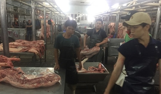 Giá heo hơi hôm nay, 5-3: Tăng mạnh ở chợ đầu mối